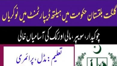 Government Class IV Jobs in Gilgit at Health Department
