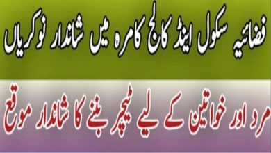 Fazaia Bilquis College of Education for Women Rawalpindi Jobs