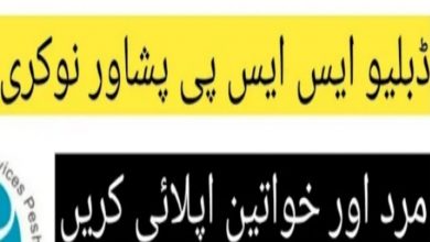 Water and Sanitation Services Peshawar WSSP Jobs 2022