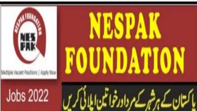 National Engineering Services Pakistan NESPAK Jobs 2022