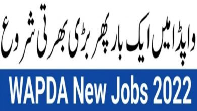 WAPDA Jobs