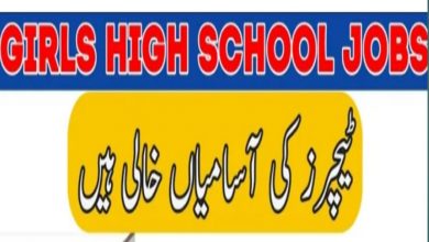 Cantt Public Girls High School Walton Cantt Lahore Jobs 2022