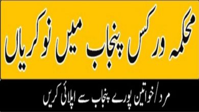 Communication and Works C&W Department Punjab Jobs 2022