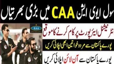 Civil Aviation Authority CAA Pakistan Jobs 2022 | caapakistan.com.pk