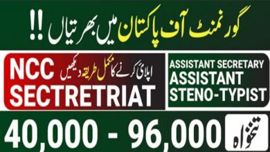 Govt Jobs at National Curriculum Council Secretariat Islamabad