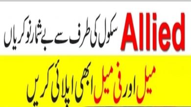 Allied School University Town Campus Peshawar Jobs 2022