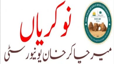 Mir Chakar Khan Rind University Sibi Jobs August 2022