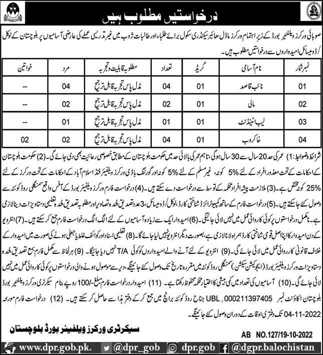 Workers Model Higher Secondary School Zhob Jobs 2022