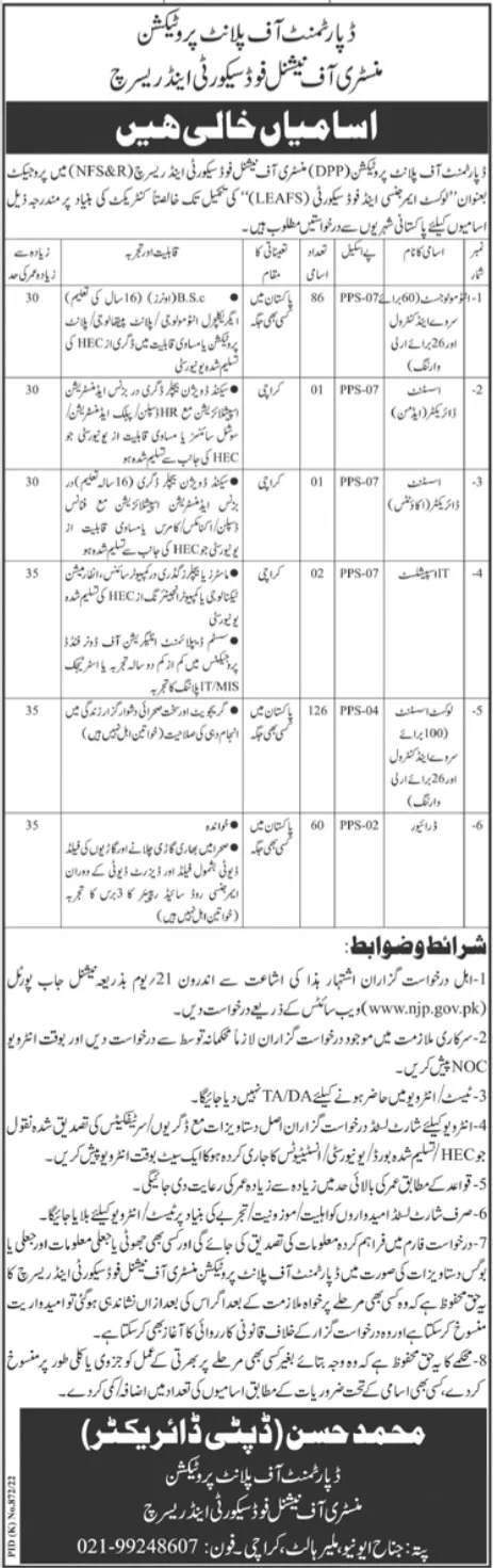 National Food Security and Research Ministry Jobs October 2022