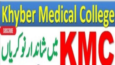 Government Girls Degree College Bara Khyber Jobs 2022