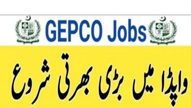 GEPCO Jobs 2022 – Gujranwala Electric Supply Company Careers | Online Apply via NTS