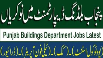 Building Circle No. 1 Rawalpindi Jobs 2022