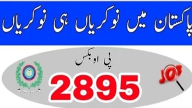 Public Sector Organization PO Box 2895 GPO Islamabad Jobs 2022