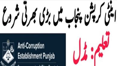 Anti Corruption Courts Punjab Jobs 2022