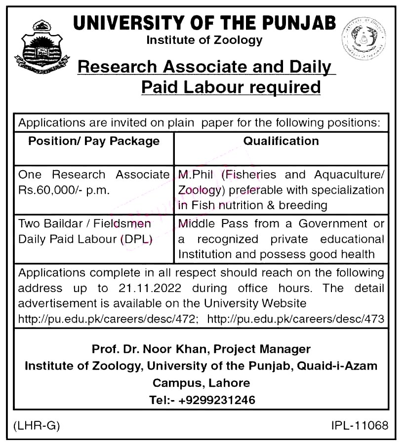 University of Punjab Jobs 2022 PU Lahore – Apply Online