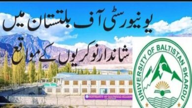 University of Baltistan Skardu Jobs 2022