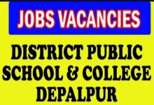 District Public School and College Depalpur Jobs 2023
