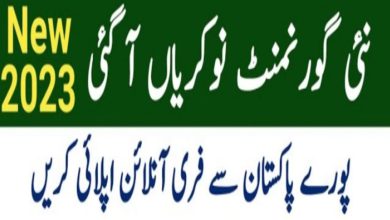 National Insurance Company Limited Jobs 2023 Online Apply Form