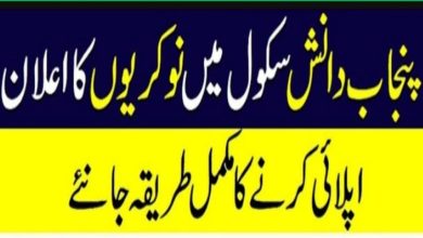 Jobs in Punjab Daanish Schools for Boys & Girls Mianwali