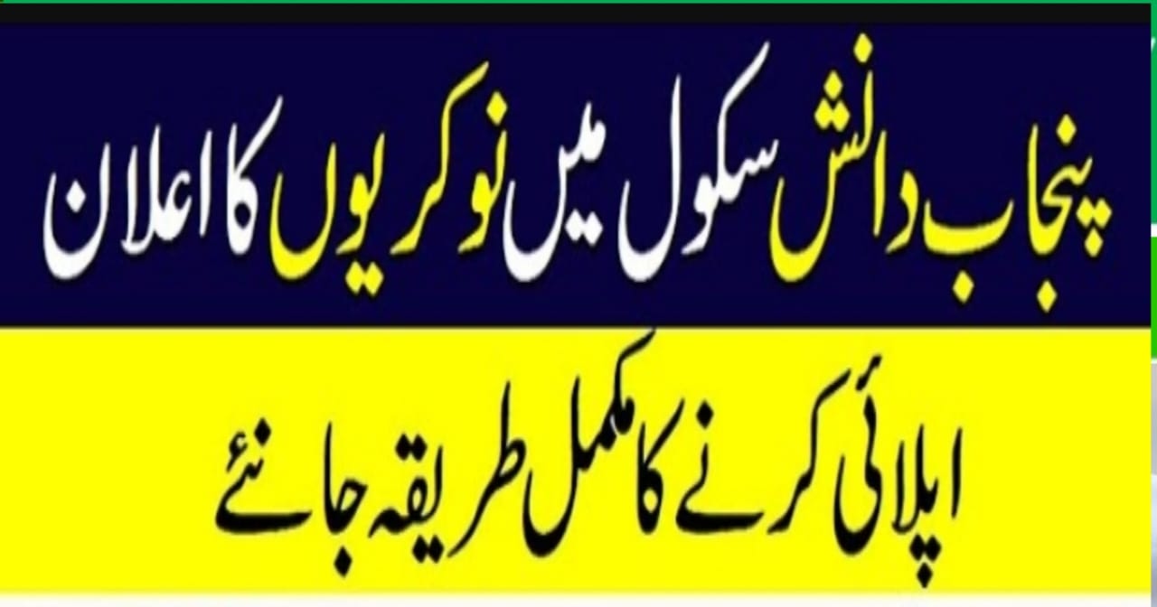 Jobs in Punjab Daanish Schools for Boys & Girls Mianwali
