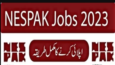 National Engineering Services Pakistan NESPAK Jobs 2023 Online Apply