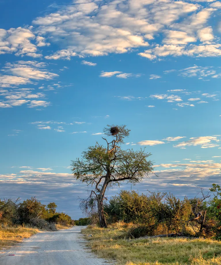 Dream travel locations for 2023