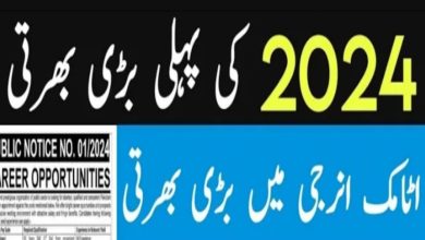 Career 1737 Jobs 2024 Public Sector Organization | www.careerjobs1737.com