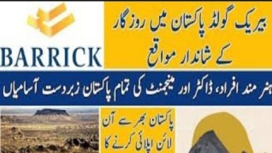 Barrick Gold Corporation Jobs 2024 | www.pakistanjobs.barrick.com