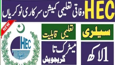 HEC Jobs 2024 Higher Education Commission | www.hec.gov.pk Online Apply
