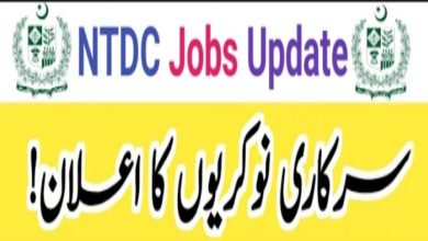 NTDC Jobs 2024 | National Transmission and Despatch Company Limited