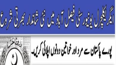 University of Agriculture Faisalabad Jobs 2024 | www.uaf.edu.pk