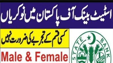 SBP Jobs 2024 State Bank of Pakistan | Apply Online at SBP Career Portal