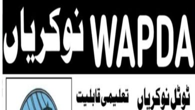 WAPDA Jobs 2024 | www.wapda.gov.pk