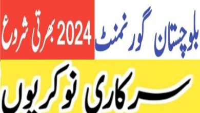PO Box No 93 GPO Quetta Jobs 2024
