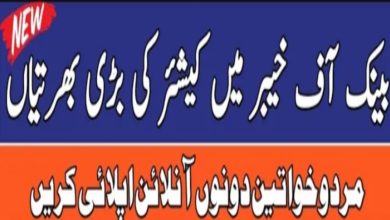 Bank of Khyber BOK Jobs 2024 Apply Online | www.bok.com.pk