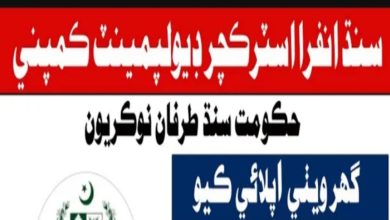 Sindh-Infrastructure-Development-Company-Limited Jobs-2024