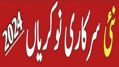 Ministry of IT & Telecom Jobs 2024 – Ignite National Technology Fund Jobs