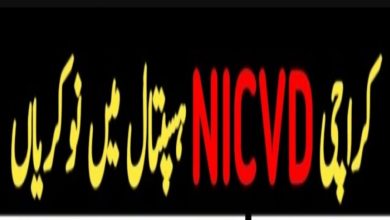 NICVD Jobs 2024 | National Institute of Cardiovascular Diseases Careers