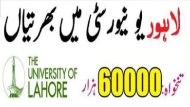 UOL Jobs 2024 University of Lahore