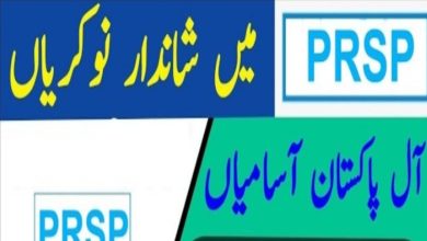 Punjab Rural Support Program PRSP Jobs 2024 Online Apply