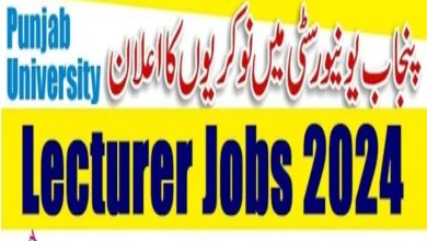 Punjab University PU Lahore Jobs 2024