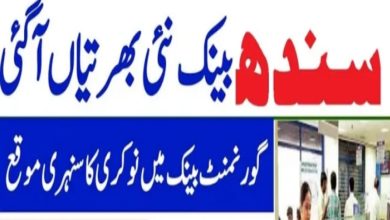 Sindh Bank Jobs 2024 Online Form | www.sindhbank.com.pk