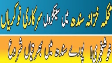 Finance Department Sindh Jobs 2024 – Download Application Form