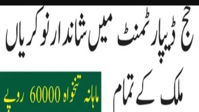 Hajj Directorate Lahore Jobs 2024 | Walk in Interviews