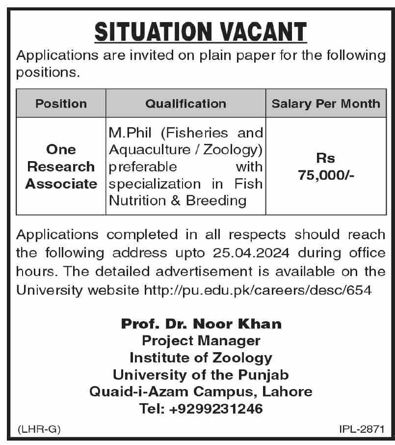 Punjab University PU Lahore Jobs 2024