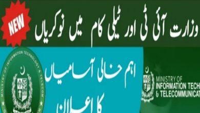 Ministry of IT & Telecom Jobs 2024 – Ignite National Technology Fund Jobs