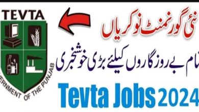 TEVTA Punjab Jobs 2024 | Get Job Descriptions & Apply Procedures