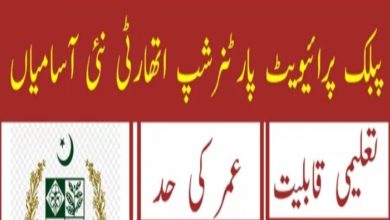 Public Private Partnership Authority P3A Jobs 2024 | www.p3a.gov.pk