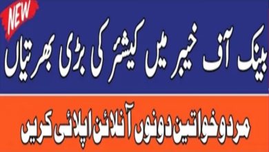 Bank of Khyber BOK Jobs 2024 Apply Online | www.bok.com.pk