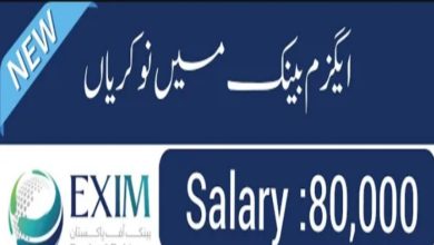 EXIM Bank of Pakistan Jobs 2024 | Online Application Form